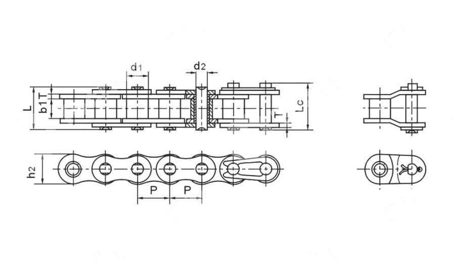 Картинка Цепь роликовая 20A-2 (ASA100-2) PIZZIRANI Цепь роликовая 20A-2 (ASA100-2) PIZZIRANI
