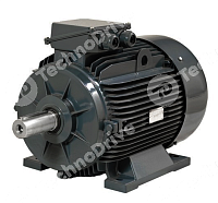 электродвигатель gm2e 200 l 4a b3 (30 kw, 1470 r/min, ie2, d=55mm, a=318mm, b=305mm) gamak