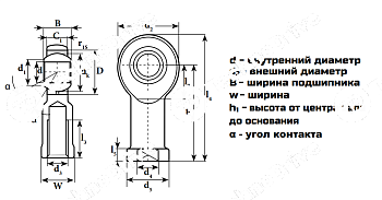 Шарнирный наконечник CHS10 M10X1,5 (TSF10C) LDI