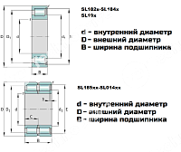 Подшипник SL04 5005 PP (NNF 2LSV) LDI