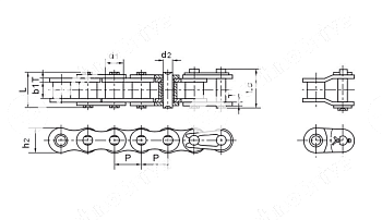 Цепь роликовая 16A-2 (ASA80-2) PIZZIRANI