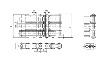 Картинка Цепь роликовая 40B-3 PIZZIRANI Цепь роликовая 40B-3 PIZZIRANI