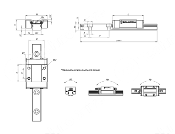 каретка миниатюрная нержавеющая br-mgn9cz1hm ballroll