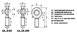 Шарнирный наконечник SA6C (GAR6UK) NPT