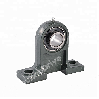 Подшипниковый узел UCPH 204 NPT