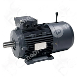 Электродвигатель с тормозом AGM2EL 100 L 4A B14 BR30 (2,2 kW, 1420r/min, IE2, D=28mm, M=130mm, P=160mm, H180C, mount M1, IP55) GAMAK