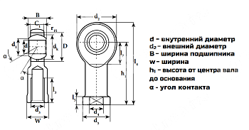 Шарнирный наконечник CHSL6 M6X1 (TSFL6C) LDI