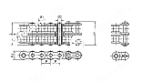 Цепь роликовая 32A-1 (ASA160-1) PIZZIRANI