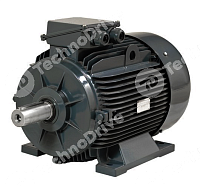 электродвигатель gm2e 315 s 6a b3 (75 kw, 990 r/min, ie2, special shaft d=80mm, a=508mm, b=406mm, h180c, ip55, 3ptc, h180c, mount m1, ip55) gamak