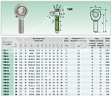 Шарнирный наконечник TSM17 ISB